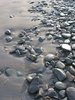 Stony beach 1