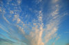 Evening sky