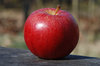 apple on plank 3