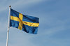 Swedish Flag 1