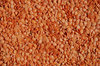 Lentils texture
