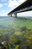 Oresund Bridge 4