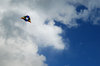 Kite Sky 1
