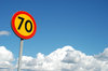 Traffic Sign 31