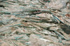 Shattered Glass 4