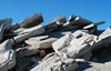 Construction Waste