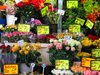Flower Shop