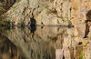 Rocks and Water