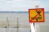 No Diving