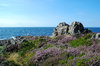 Lighthouse 1