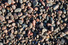 Wet Stones 1