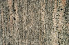 Gneiss Rock texture