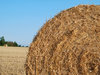 Hay Bales