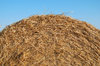 Hay bale Texture