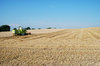 Harvester
