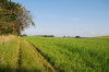 Countryside