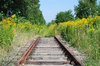 Rails