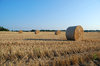 Hay Bale Series 2
