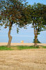 Hay Bale Series 4