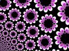 Fractal Flower