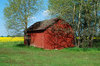 Forgotten Shed