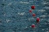buoys