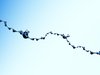 Sticky Drops 1