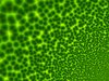 Cell Mess