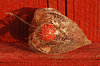 Withered Capsule 3