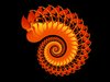 Spiral shell 3