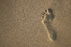 Imprints