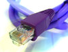 Ethernet cable