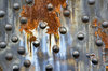Steel Bridge rivets