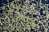Textured Metal 1
