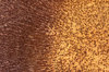 Rusted steel