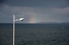 Rare Rainbow 3
