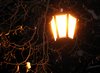 Lantern in Snow