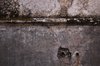 Concrete wall texture