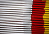 spines H