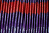 spines V