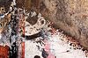 Trashbin Grunge