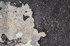 Sidewalk textures