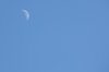 moon-01