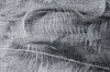 Scratched steel 2