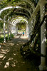 Jardim Botanico Rio de Janeiro