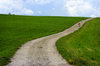 The long road