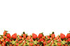 Strawberry Border