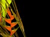 Heliconia Border