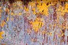 Paint texture