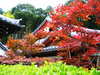 Japanese Roof